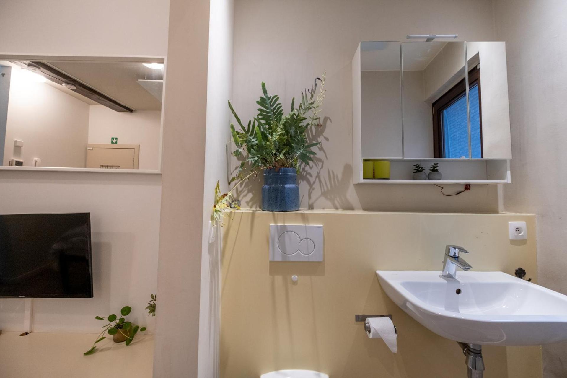 Cityhome Apartments In The Heart Of אנטוורפן חדר תמונה